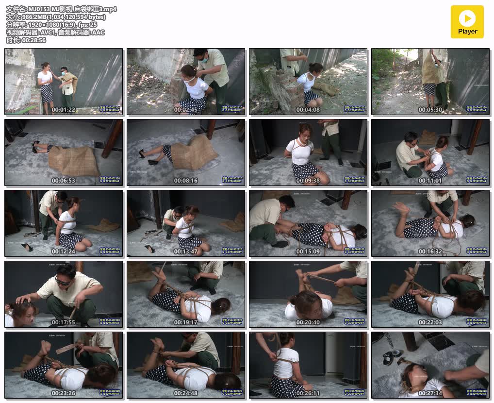 MJ0153【MJ影视】麻袋绑匪 第三集.jpg
